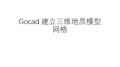 Gocad 建立三维地质模型网格