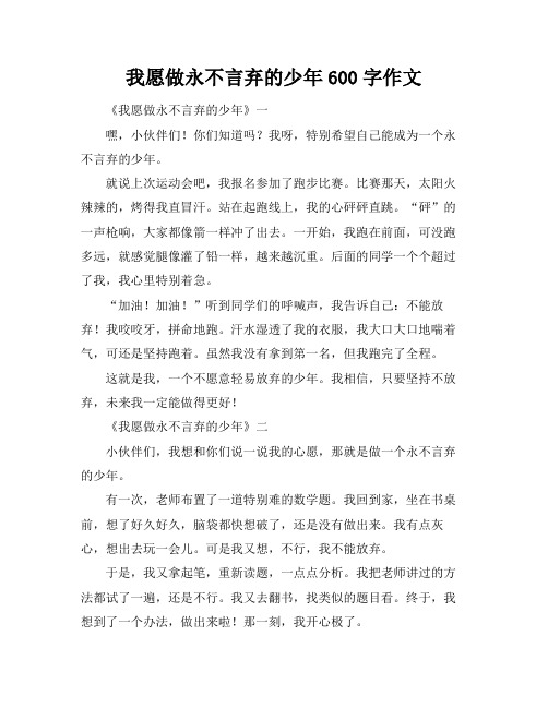 我愿做永不言弃的少年600字作文