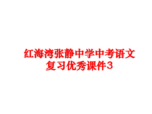 最新红海湾张静中学中考语文复习优秀课件3