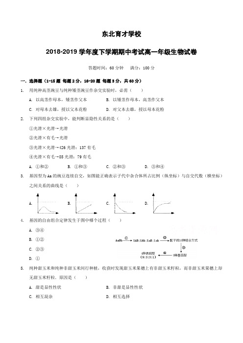 辽宁省沈阳市东北育才学校2018-2019学年高一下学期期中考试生物试题(含答案)