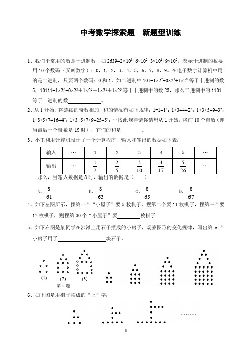 中考数学探索题---新题型训练(含答案)-