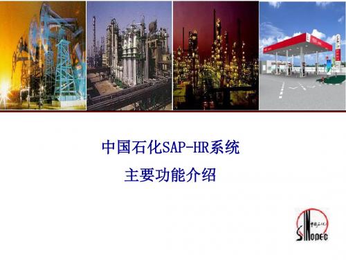 中国石化SAP-HR系统功能介绍 77页PPT文档