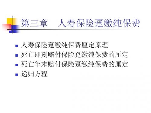 保险精算人寿保险趸缴纯保费-PPT精品文档