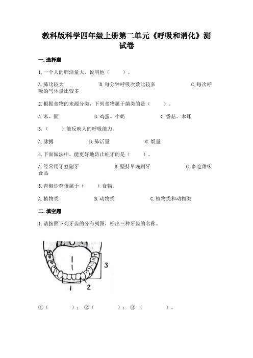 教科版小学四年级上册科学第二单元《呼吸和消化》测试卷(含答案)