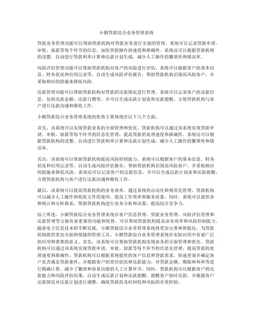 小额贷款综合业务管理系统