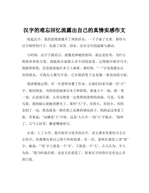 汉字的难忘回忆流露出自己的真情实感作文