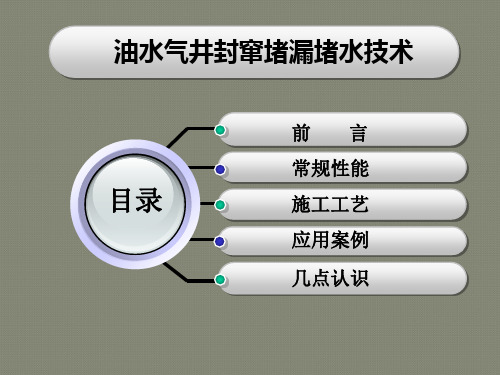 油水井封窜堵漏堵水技术