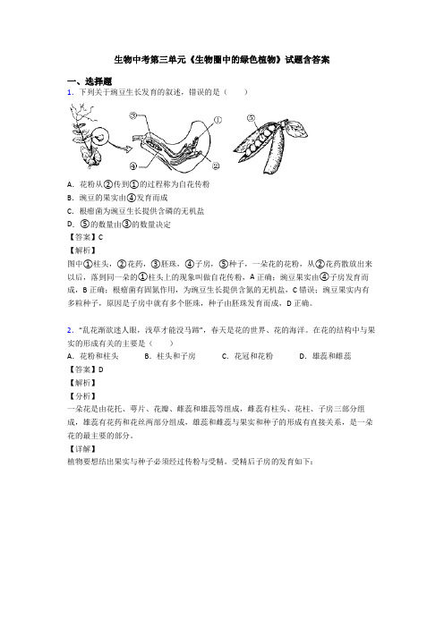 生物中考第三单元《生物圈中的绿色植物》试题含答案