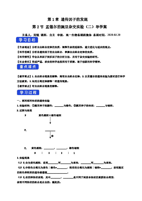 1.2 孟德尔的豌豆杂交实验(二)-高中生物必修二(2019)导学案