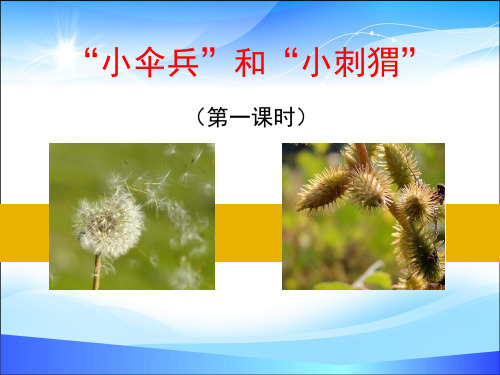 《“小伞兵”和“小刺猬”》PPT【精品推荐课件】