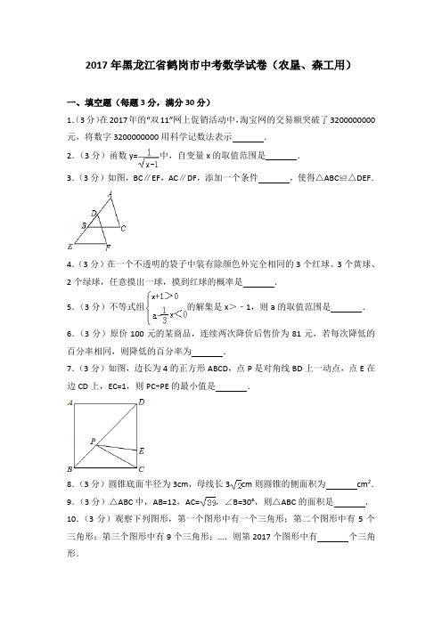 2017年黑龙江省鹤岗市中考数学试卷(农垦、森工用)