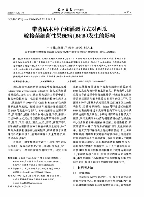 带菌砧木种子和灌溉方式对西瓜嫁接苗细菌性果斑病(BFB)发生的影响