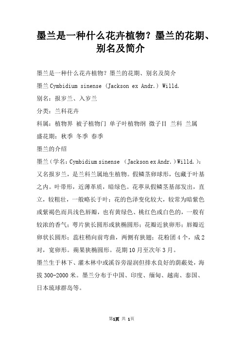 墨兰是一种什么花卉植物?墨兰的花期、别名及简介