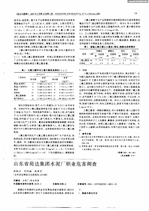 山东省荷达集团水泥厂职业危害调查