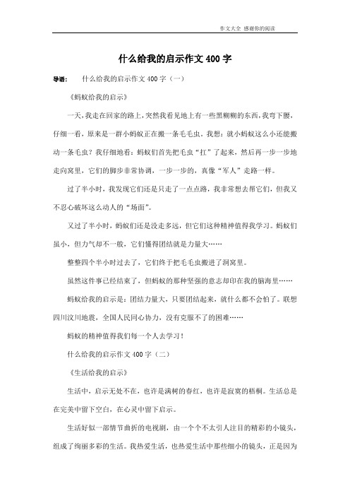 什么给我的启示作文400字