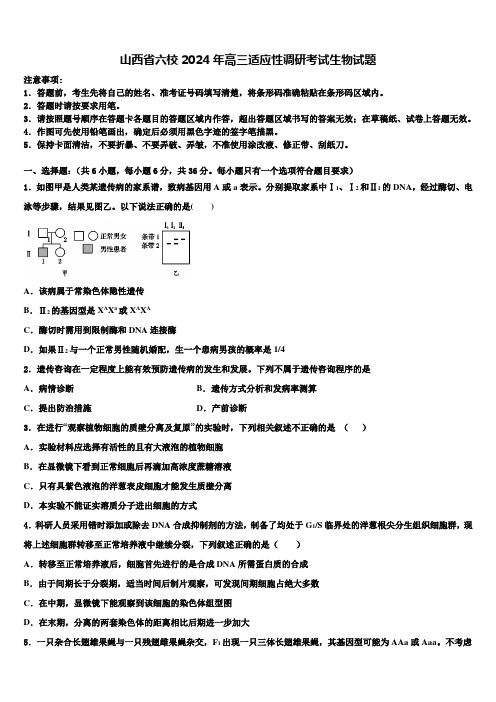 山西省六校2024年高三适应性调研考试生物试题含解析