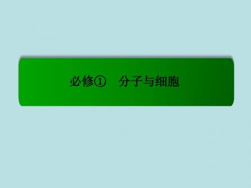 【名师一号 模块新课标】2016届高考生物总复习 1.1走近细胞课件 新人教版必修1