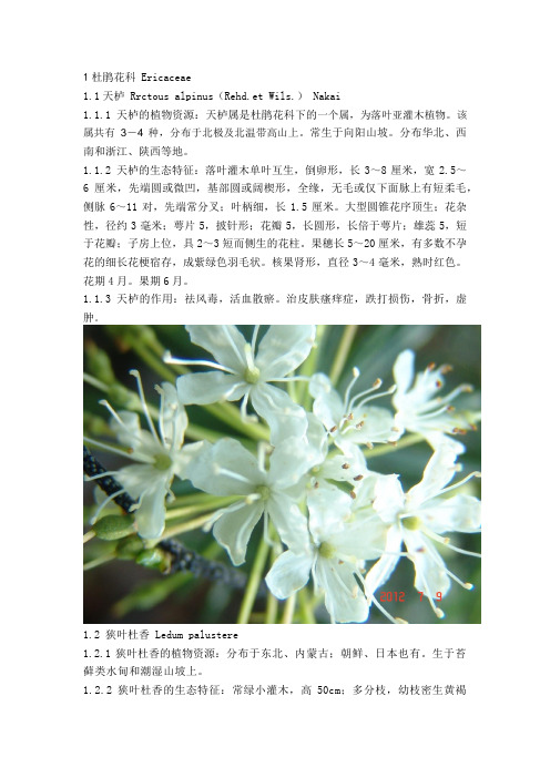 内蒙古报春花科与杜鹃花科植物