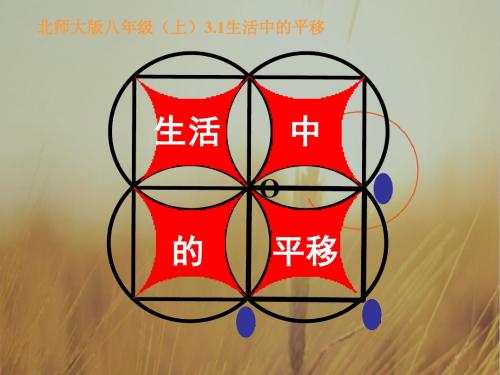 初中数学课件-生活中的平移2 最新