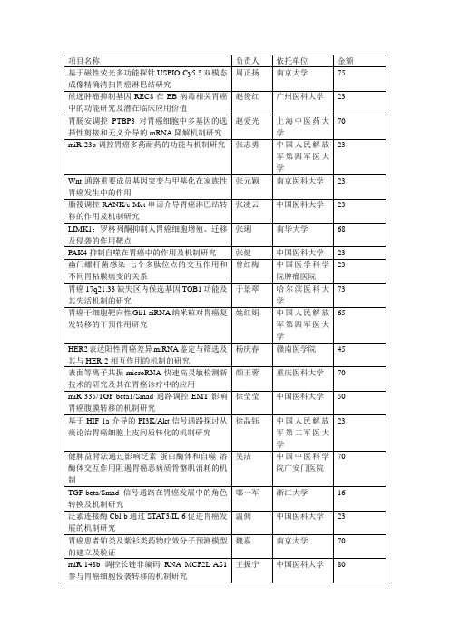 2013年批准的胃癌相关国自然项目