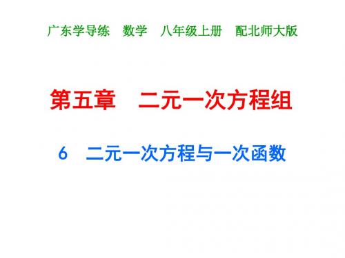 北师大版八年级数学上册课件：5.6 二元一次方程与一次