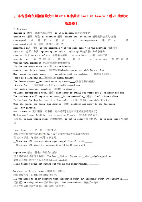 广东省佛山市顺德区均安中学高中英语 Unit 20 Lesson 3练习 北师大版选修7