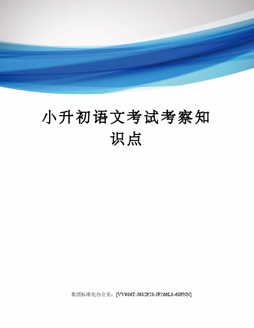 小升初语文考试考察知识点完整版