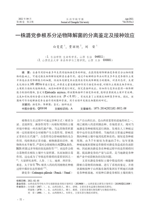 一株潞党参根系分泌物降解菌的分离鉴定及接种效应