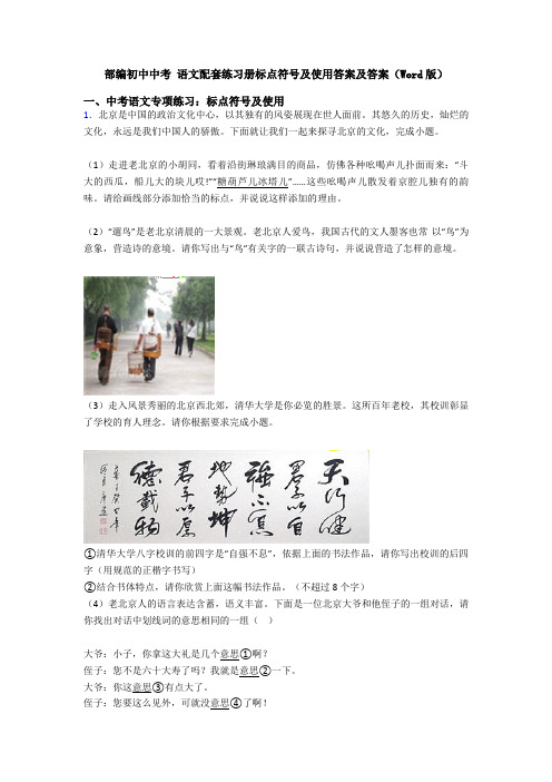 部编初中中考 语文配套练习册标点符号及使用答案及答案(Word版)
