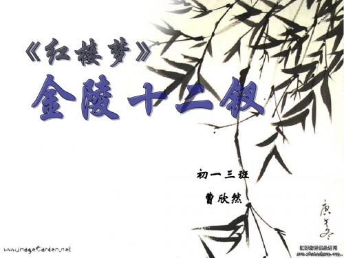金陵十二钗
