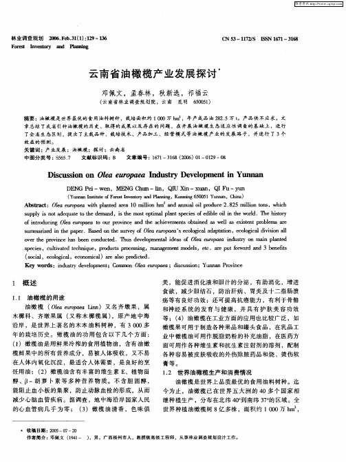 云南省油橄榄产业发展探讨