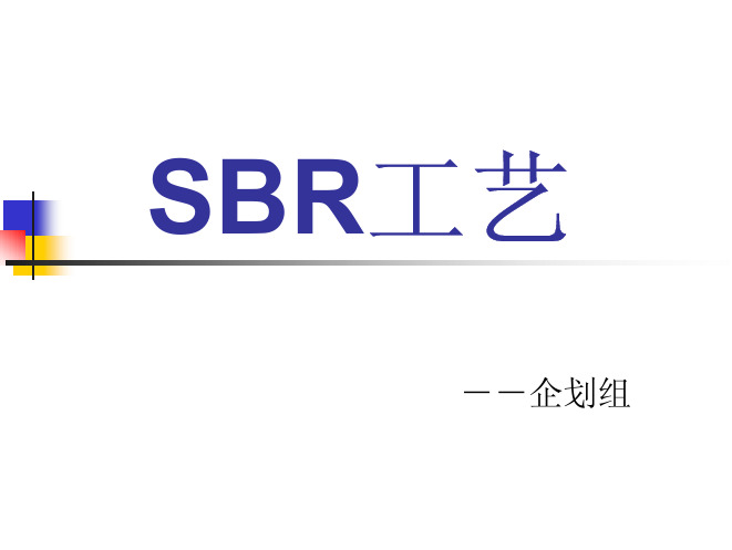 SBR工艺