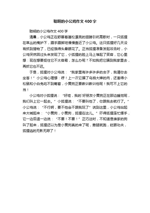 聪明的小公鸡作文400字