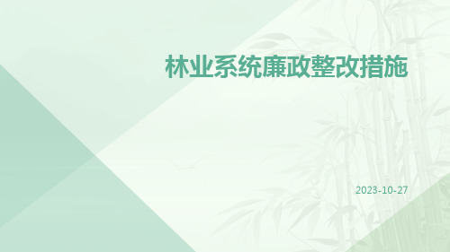 林业系统廉政整改措施