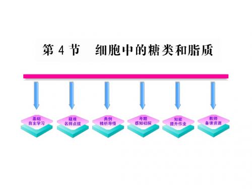 2.4 细胞中的糖类和脂质(新人教版必修1)