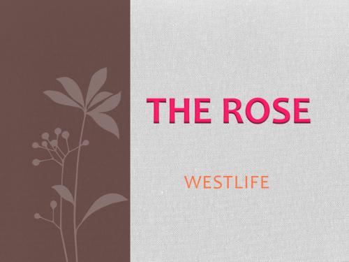 the rose歌词