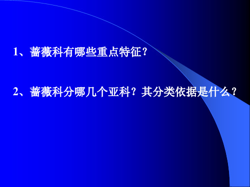 蔷薇科有哪些重点特征讲解