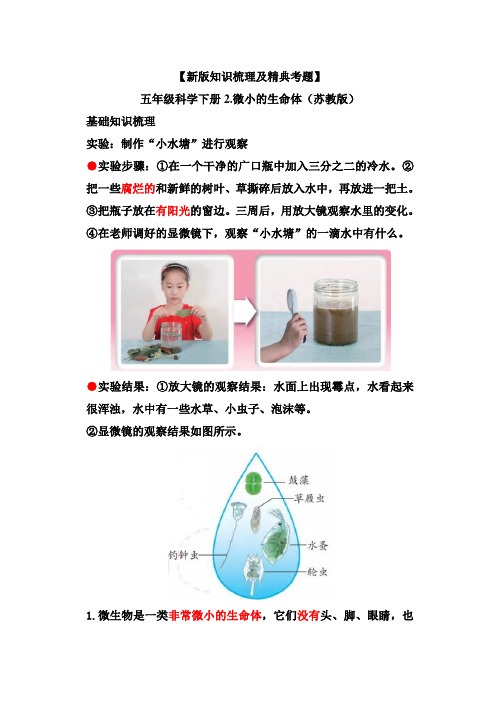 【新版知识梳理及精典考题】苏教版五年级科学下册2