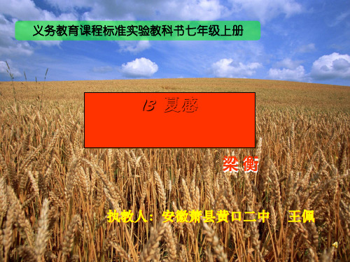 七级语文上册《夏感》优秀实用课件 人教新课标(通用)