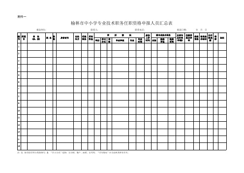 榆林市中小学专业技术职务任职资格申报人员汇总表