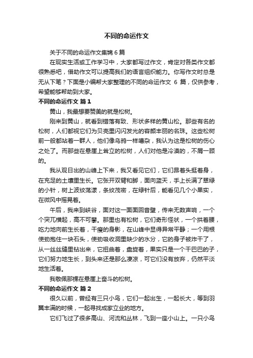 关于不同的命运作文集锦6篇