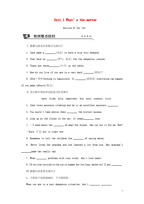 八年级英语下册Unit1What’sthematterSectionB(2a_2e)同步练习人教新目标版