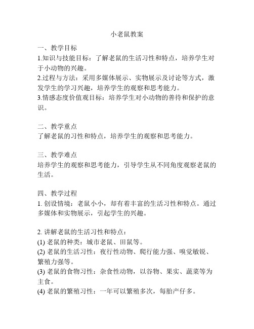 小老鼠教案