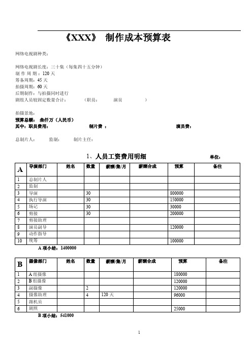 网剧电视剧制作预算表