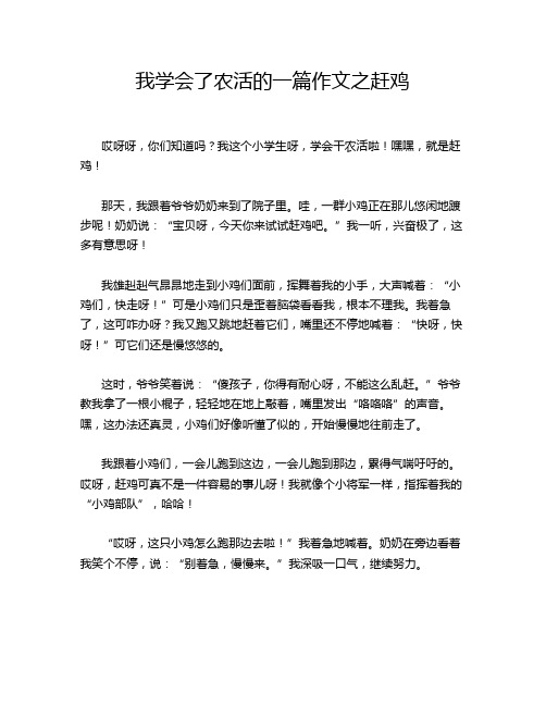 我学会了农活的一篇作文之赶鸡