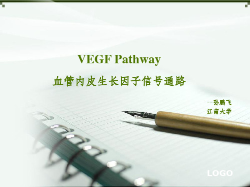 VEGF(血管内皮生长因子)信号通路  精美