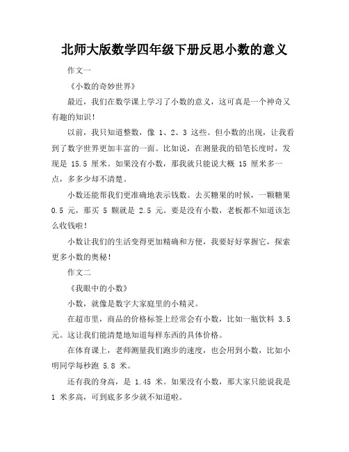 北师大版数学四年级下册反思小数的意义