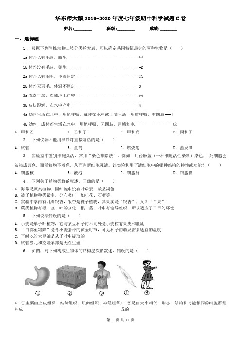 华东师大版2019-2020年度七年级期中科学试题C卷