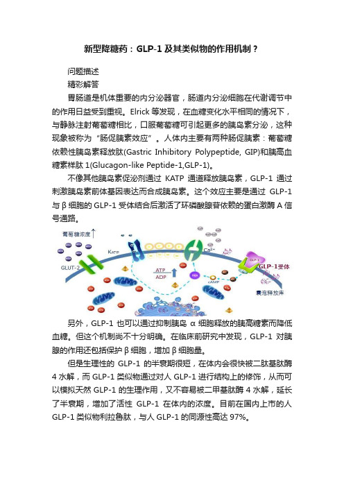 新型降糖药：GLP-1及其类似物的作用机制？