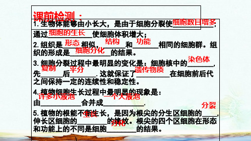 七年级生物下册9.1植物体的结构层次课件新版苏科版(1)ppt版本